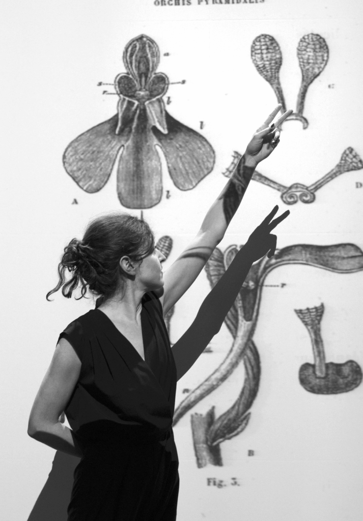 De la sexualité des orchidées