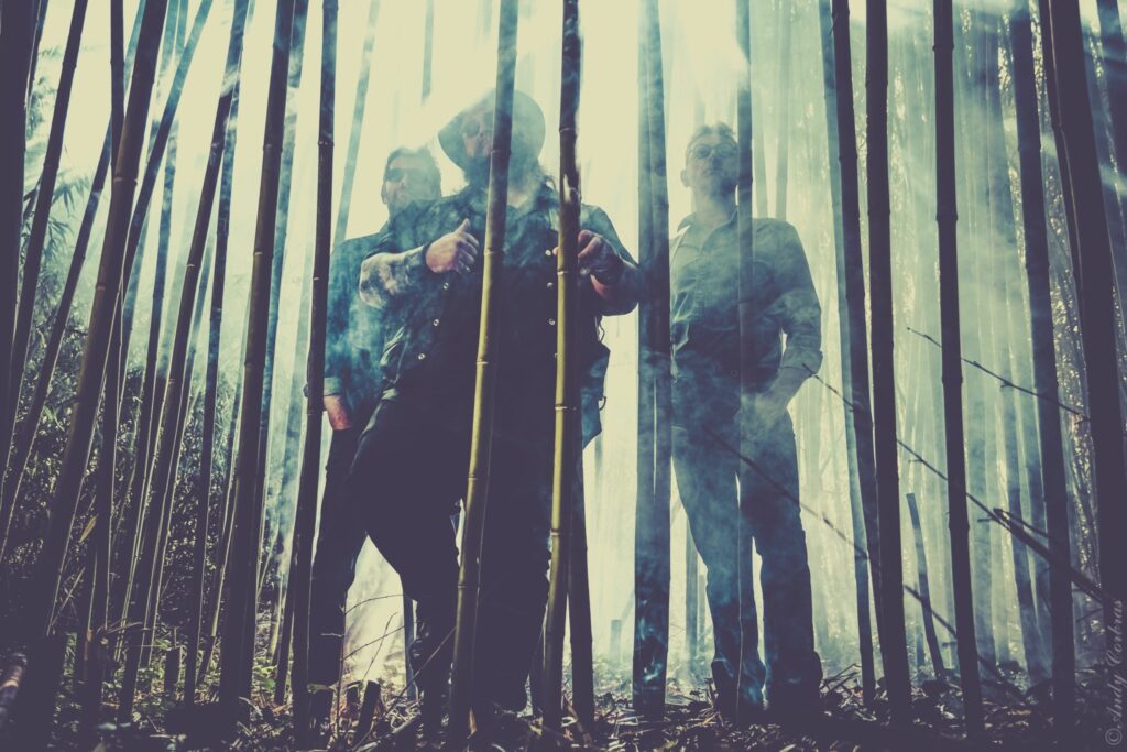 Winter Blues Band